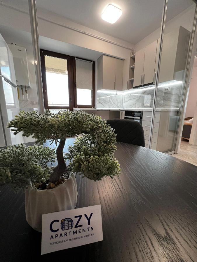 Cozy Apartments - City Center יאשי מראה חיצוני תמונה